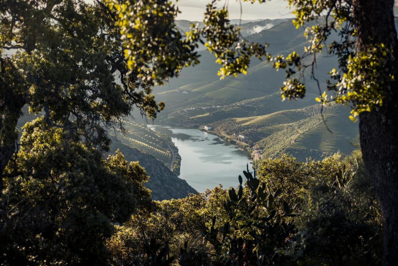 Original Douro Hotel Пезу-да-Регуа Экстерьер фото